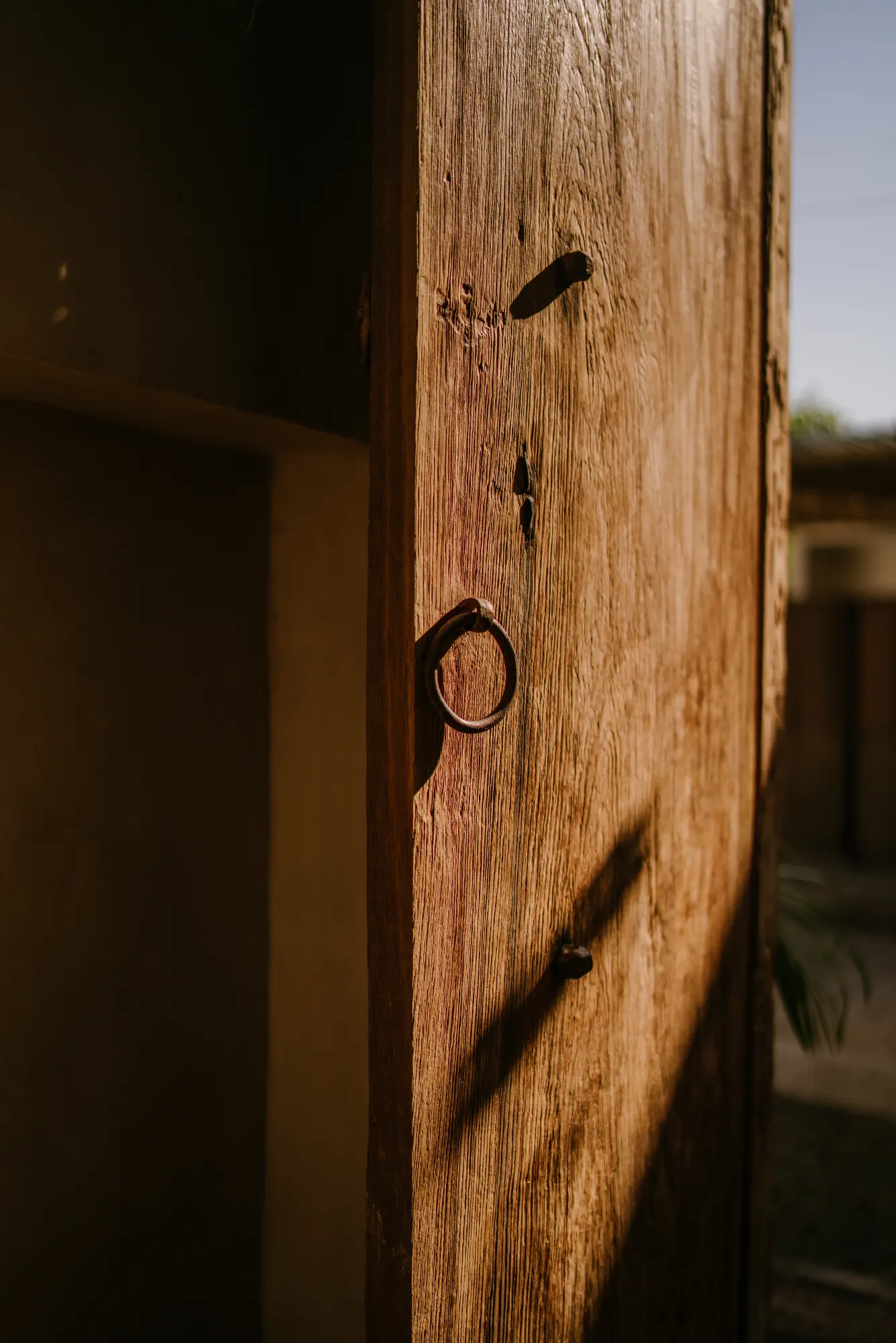 Ornate wooden door detail with shadow and metal accents
