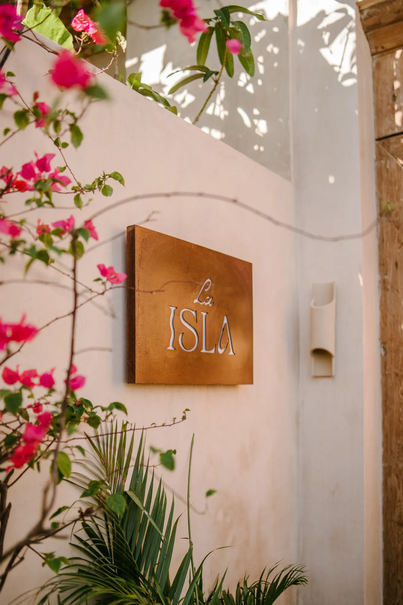 Blooming magenta flowers with "La ISLA" signage on wall
