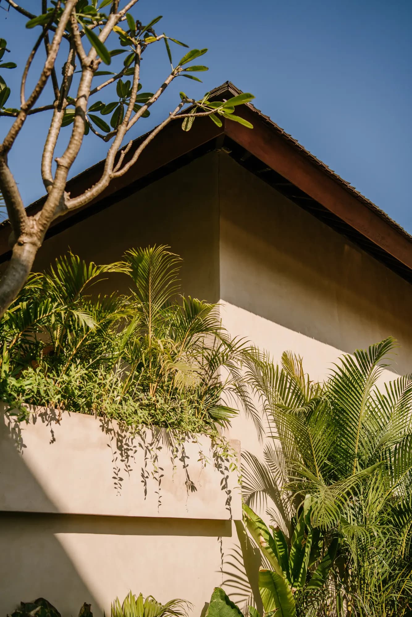 Architectural detail with tree branch and green vegetation
