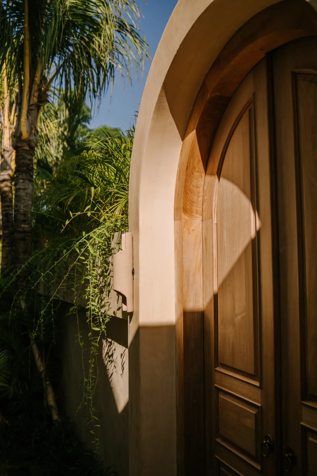 Curved archway entrance with palms and wooden door visible