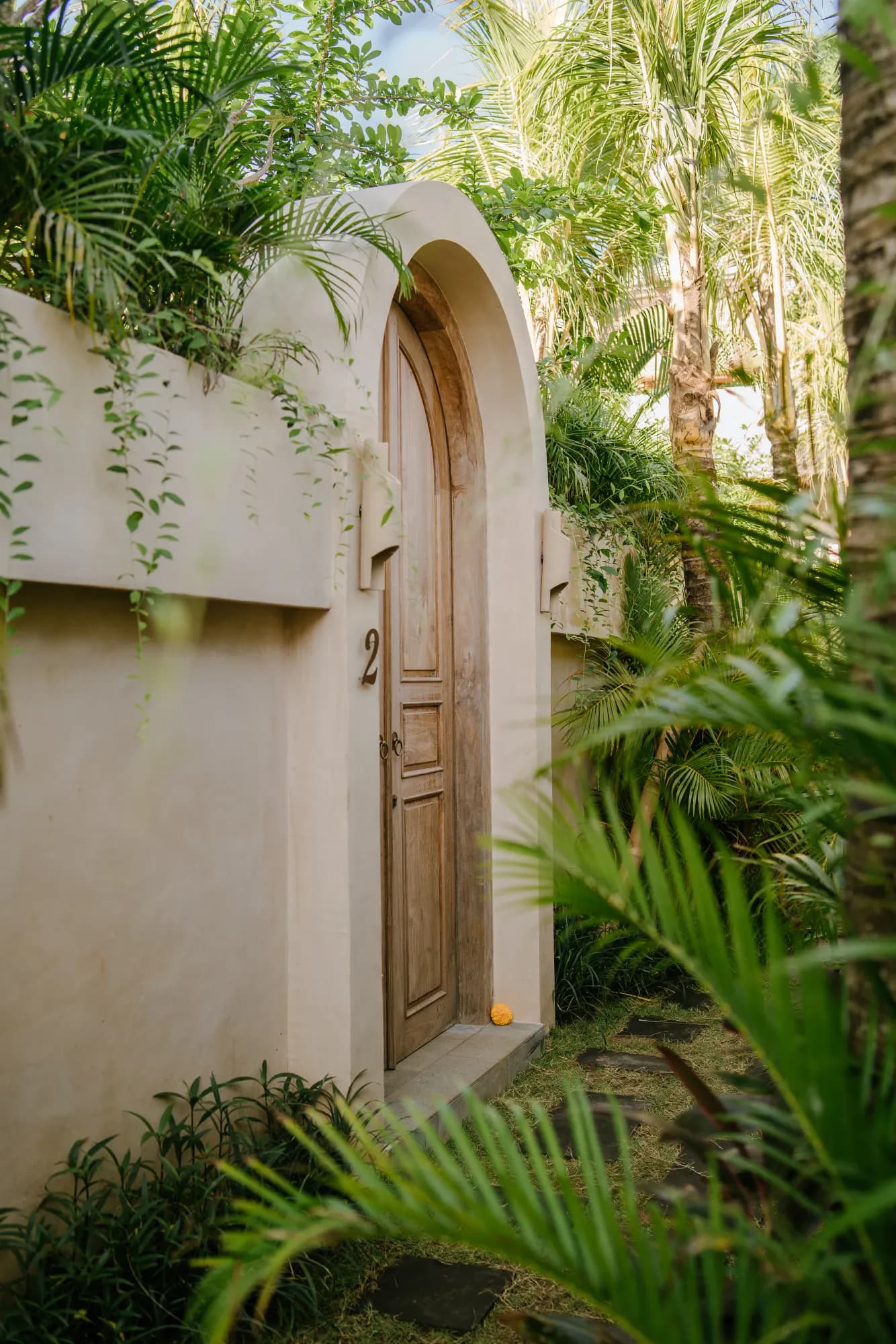 Arched wooden door nestled within tropical garden vegetation