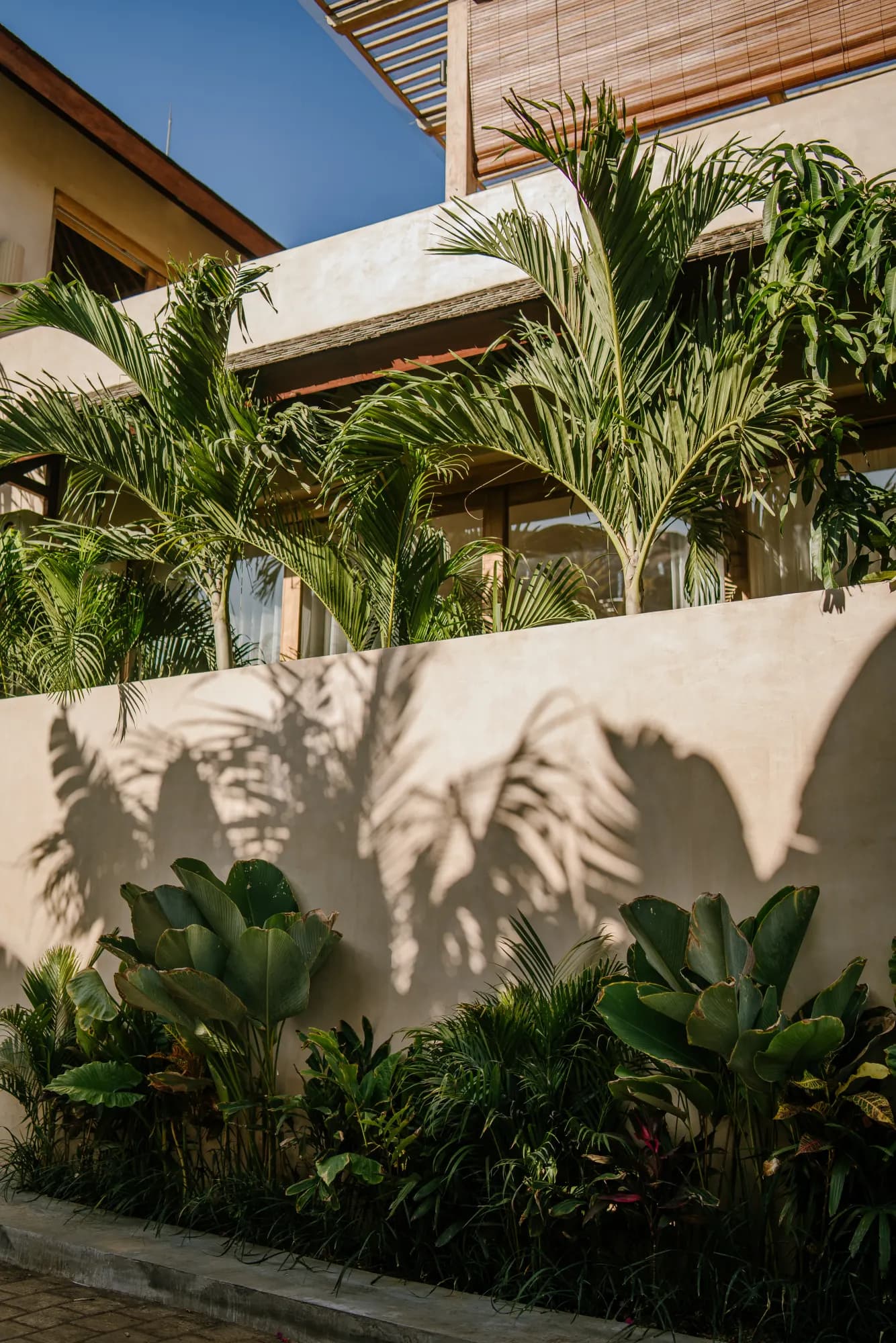Terrace and garden with architectural beams and palm landscaping