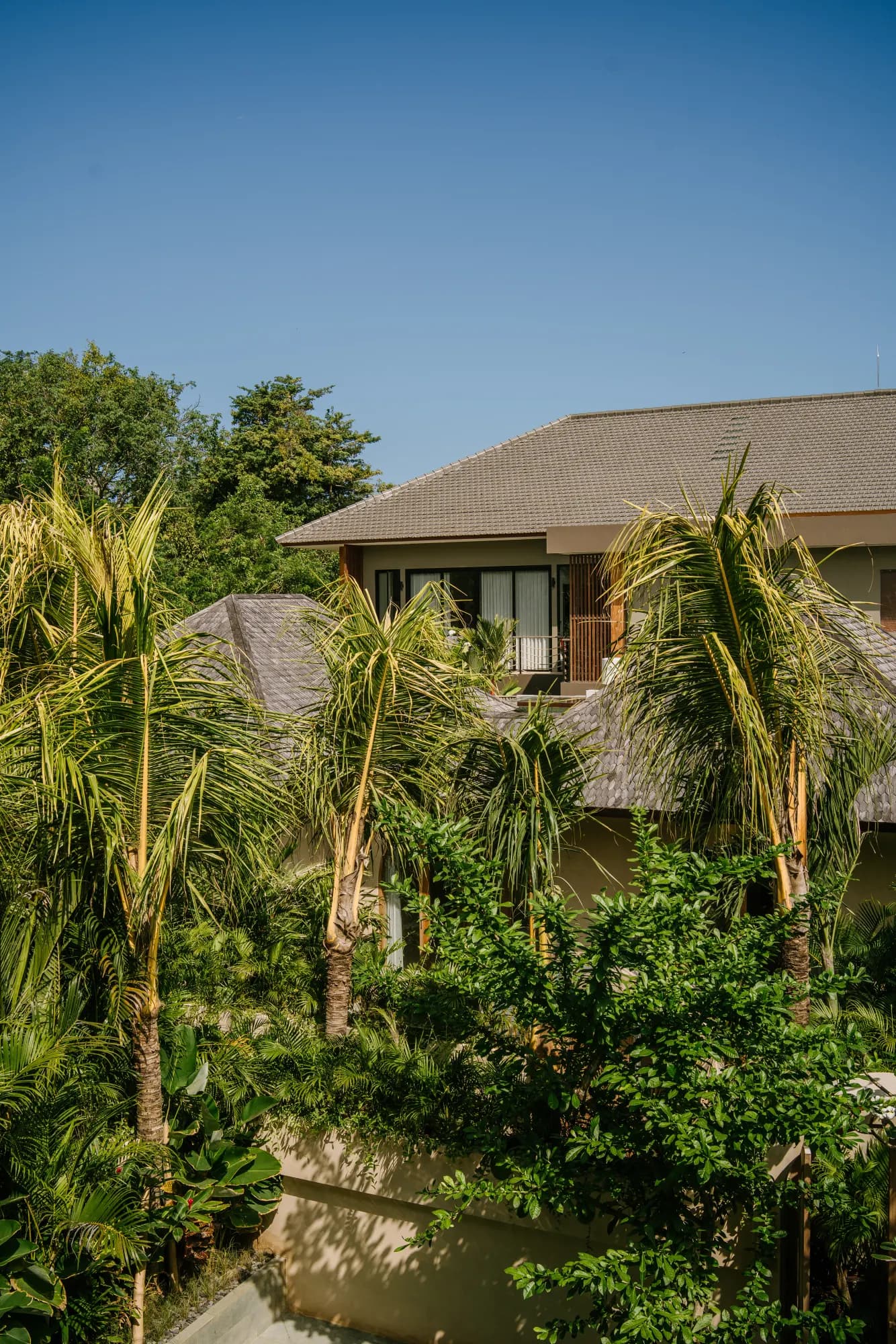 Tropical façade with palm trees and architectural detail