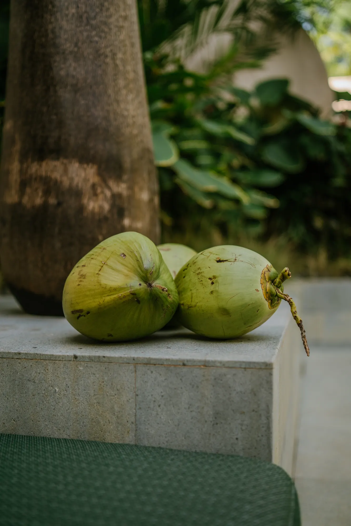 Elegant tropical fruit presentation on dining table