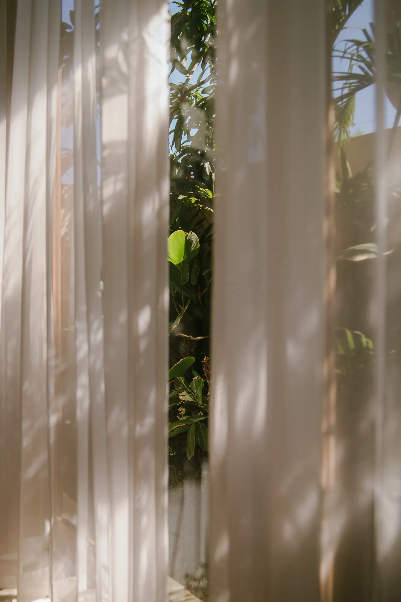Window with flowing curtains framing garden